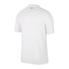 Camiseta de fútbol Turquía Niño 1ª equipación Euro 2024